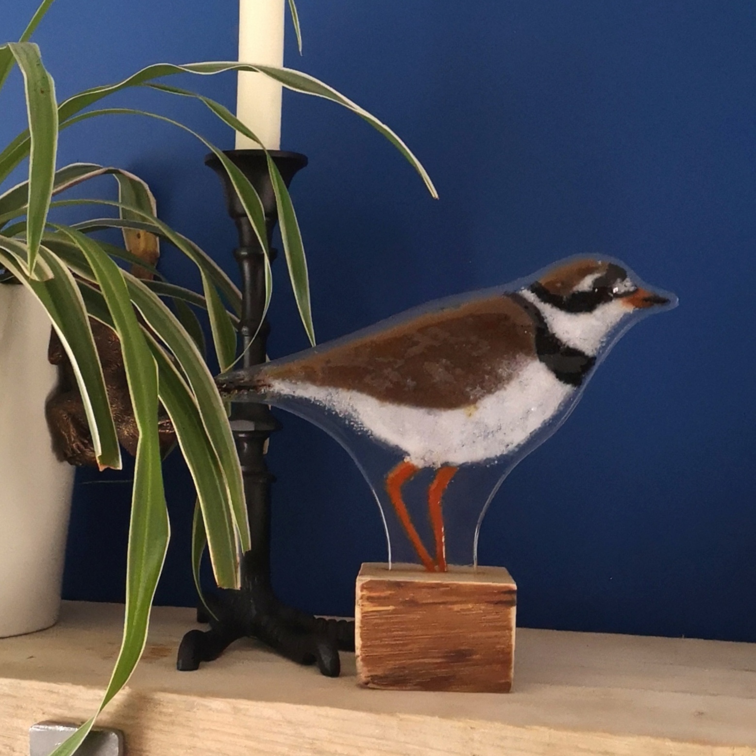 Common Ringed Plover